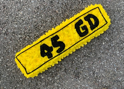 Number Plate Yellow