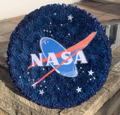 NASA Logo